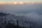 Surroundings of Ijen volcano. Trees through fog and sulfur smoke. Banyuwangi Regency of East Java, Indonesia.