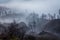 Surroundings of Ijen volcano. Trees through fog and sulfur smoke. Banyuwangi Regency of East Java, Indonesia.