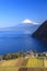 Suruga Bay and Mt. Fuji