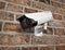 Surveilance CCTV camera on the red brick wall. 3d rendering illustration