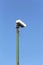 Surveillance Camera Pole