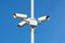 Surveillance cameras against blue sky Security Cctv