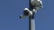 Surveillance cameras mounted on a pole