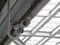 Surveillance security CCTV camera install under transparent roof for monitoring the movement from high angle view