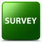 Survey green square button