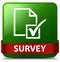 Survey green square button red ribbon in middle