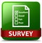 Survey (questionnaire icon) green square button red ribbon in mi