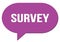 SURVEY text written in a violet speech bubble