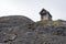 Survival Hut on Exit Glacier, Harding Icefields Trail,  Kenai Fjords National Park, Seward, Alaska, United States