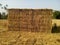 Survival shelter made with grass and bamboo