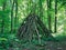 Survival shelter in the woods made from tree branches