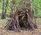 Survival shelter in the woods made from tree branches