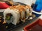 Sushi, california roll