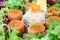 Sushi of daikon, carrot and salmon