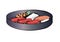 Sushi dish various sets - Brush painting