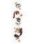 Sushi rolls and ingredients in the air isolated on a white background