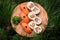 Sushi set on a wooden plate with fir branches on the background. Christmas and New Year celebration table