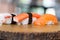 Sushi squid, sushi salmon, sushi shrimp, Japanese food