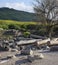 Susita Ruins, the Golan Heights, Hippos, Israel