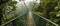 Suspended Above The Treetops Crossing A Jungle Canopy Bridge