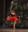 Suspended in the air-Candy Fairy Dance -The Ballet Nutcracker