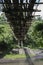 Suspended bamboo floored bridge leading to the jungle in the Philippines