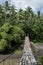 Suspended bamboo floored bridge leading to the jungle in the Philippines