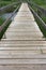 Suspended footbridge over a river