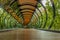 A suspended glass, wood and metal bridge in the forest