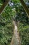 Suspended tree top or canopy walk in rain forest of Nigeria