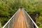 Suspension Bridge above Corrieshalloch Gorge National Reservation