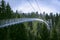 Suspension bridge in Black Forest, Germany. Metal bridge over pine trees