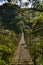 Suspension bridge in the cloudforest, Volcan Baru National Park