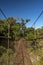 Suspension bridge in the cloudforest, Volcan Baru National Park