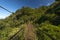 Suspension bridge in the cloudforest, Volcan Baru National Park