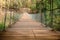 Suspension bridge cross the river in mixed forest