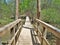 Suspension Bridge in Eno River State Park