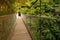 Suspension bridge in forest