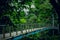 Suspension bridge in the forest