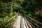 Suspension bridge in the green forest