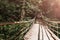 Suspension bridge in the green forest