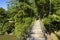 Suspension bridge in Honduras, Caribbean