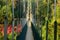 Suspension bridge in the jungle through the rainforest