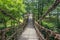 Suspension bridge made of mountain vines, Fukui Prefecture, Japan.[] The bridge is anchored to tall cedar trees at both ends and