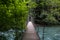 Suspension Bridge in Mount Rainier National Park