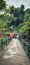 The suspension bridge in nature tourism with green railings and surrounded by trees that visitors are crossing.