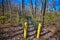 Suspension bridge at Oakland Mills Park Mount Pleasant Iowa