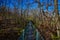 Suspension bridge at Oakland Mills Park Mount Pleasant Iowa