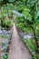 Suspension bridge over Caldera river near Boquete Panama , on Lost Waterfalls hiking trai