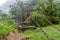 Suspension bridge over Caldera river near Boquete Panama , on Lost Waterfalls hiking trai